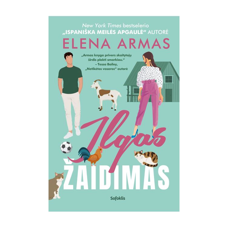 Ilgas žaidimas