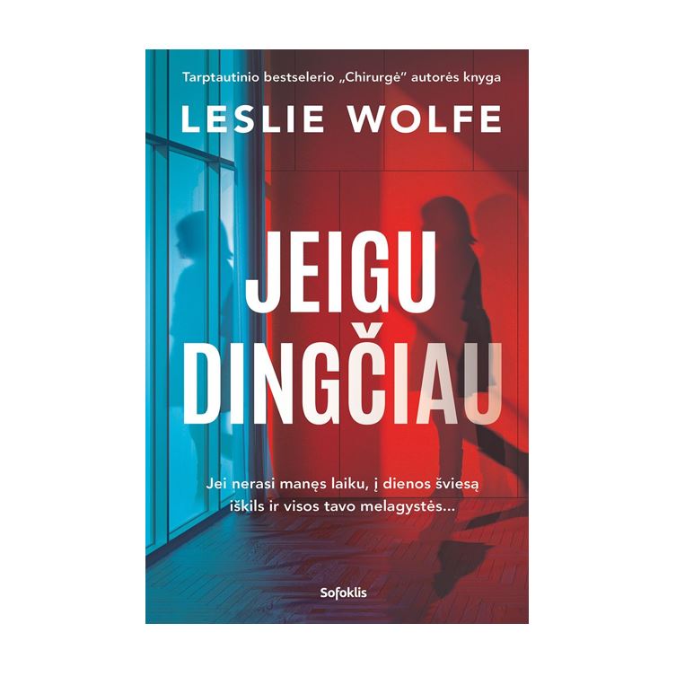 Knyga jeigu dingčiau