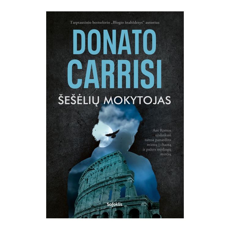 Knyga šešėlių mokytojas