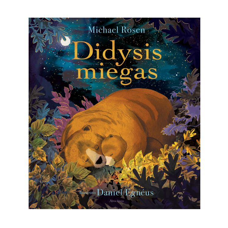 Knyga Didysis miegas