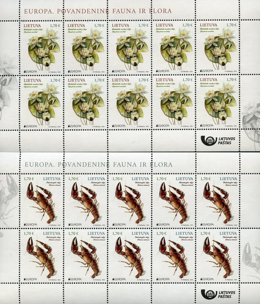 2024 04 26 Maži lapeliai. Europa. Povandeninė fauna ir flora.