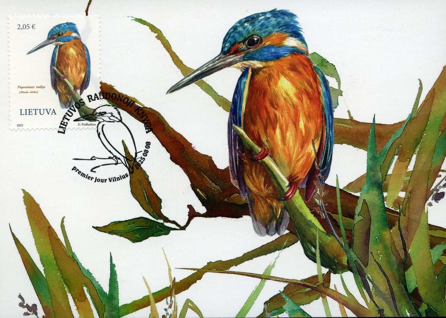 Analogiškasis atvirukas. Lietuvos raudonoji knyga. Paprastasis tulžys