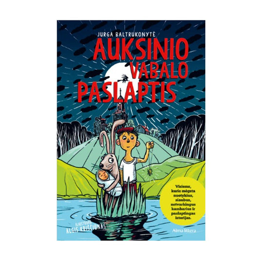 Knyga Auksinio vabalo paslaptis