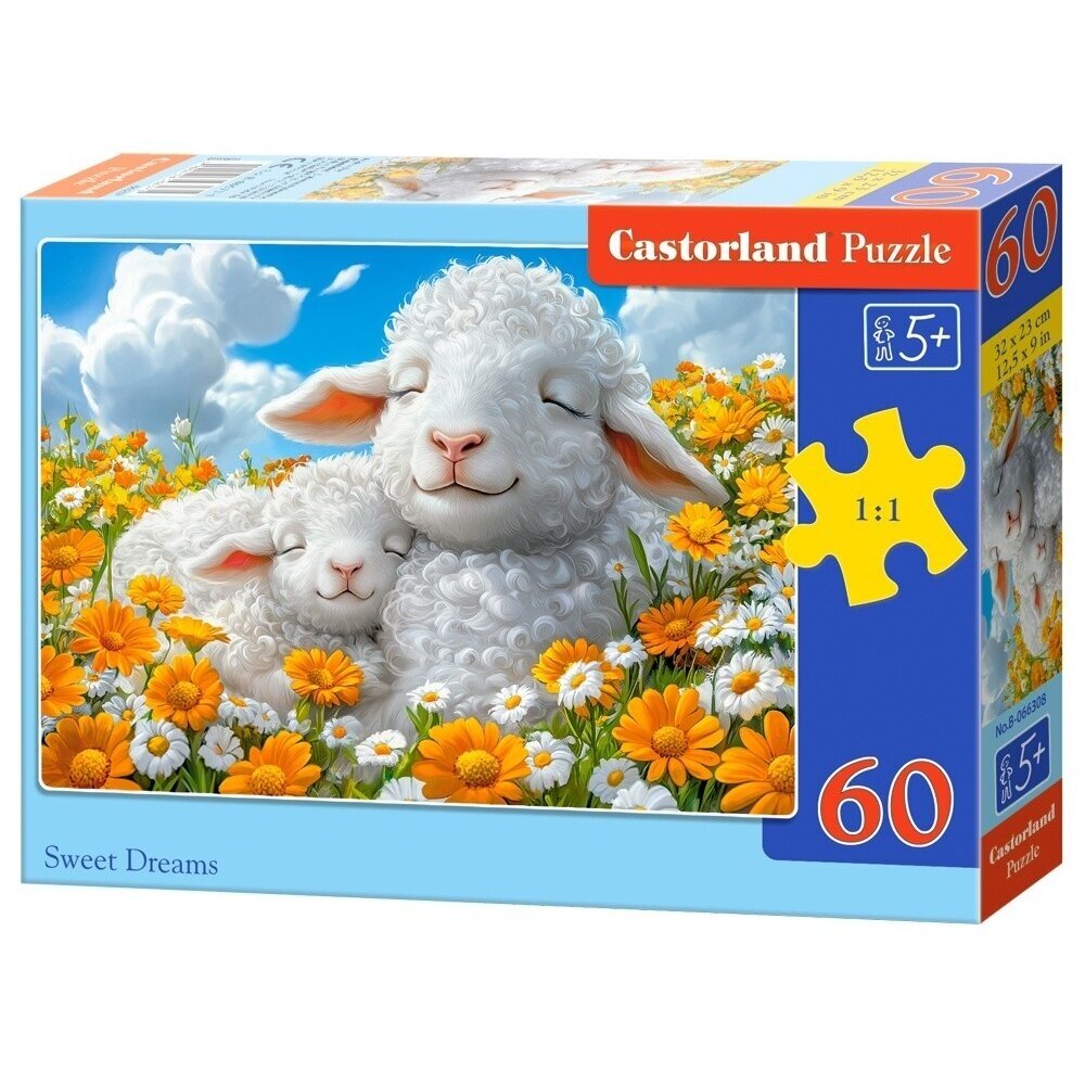 Dėlionė Castorland Sweet Dreams 60 det.