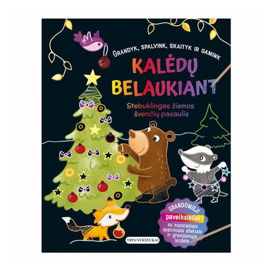 Knyga Kalėdų belaukiant