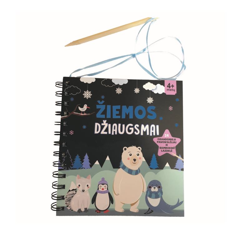 Knyga žiemos džiaugsmai