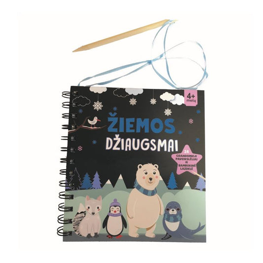 Knyga žiemos džiaugsmai