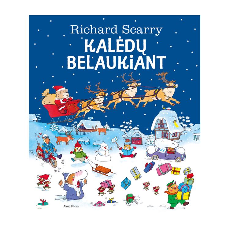 Knyga belaukiant kalėdų