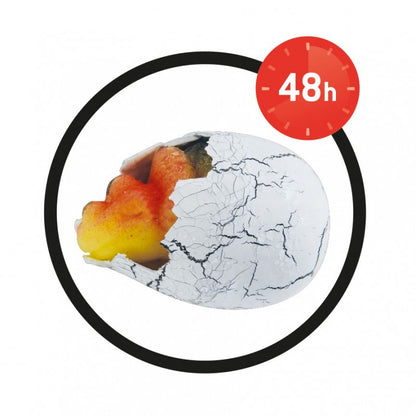 Kiaušinis su žaisliniu augančiu gyvūnėliu - Dinozauras, 6 cm