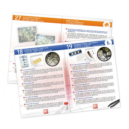 Mikroskopas 100x, 600x, 1200x ir 30 eksperimentų