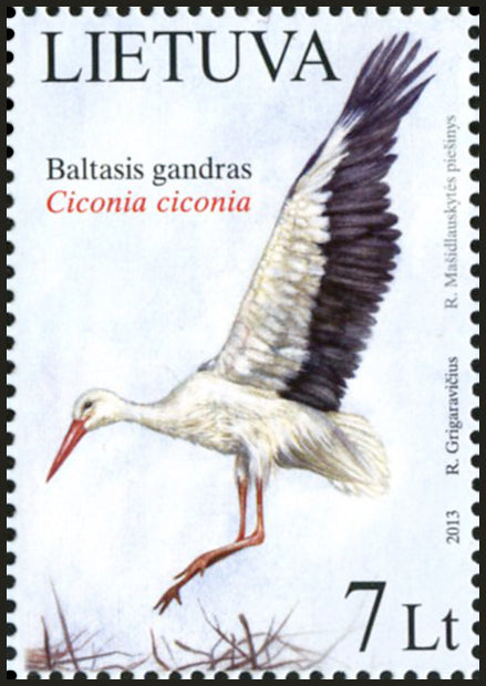 2013 04 06 „NACIONALINIS LIETUVOS PAUKŠTIS. BALTASIS GANDRAS“ (Pašto ženklas išimtas iš apyvartos)